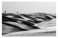 174 - ONDULATIONS - FULCRAND JOELLE - france <div